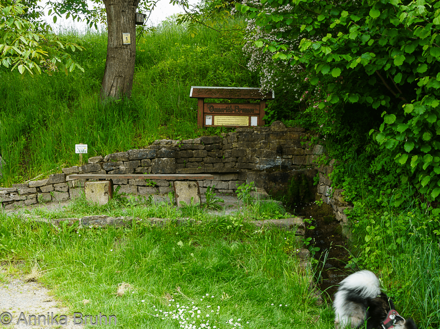 Gemerich Brunnen
